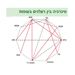 נזק סינרגי של רעלנים